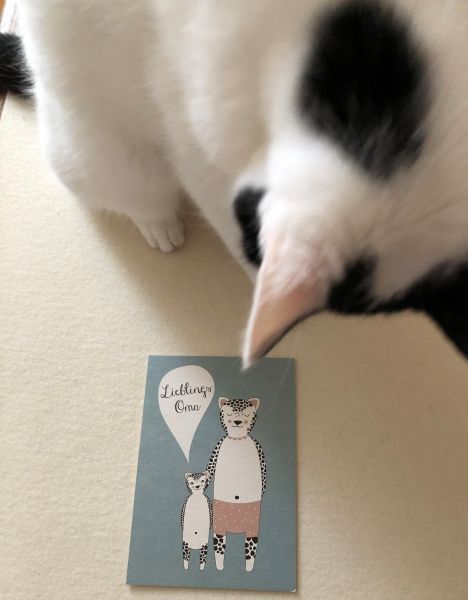 "Miau" Postkarte Lieblingsoma