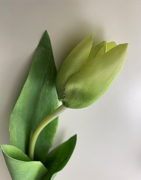 Lebensechte Tulpe weiß