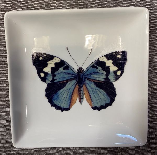 Schmetterling Porzellan-Tablett 12,7 x 12,7 x 2 cm